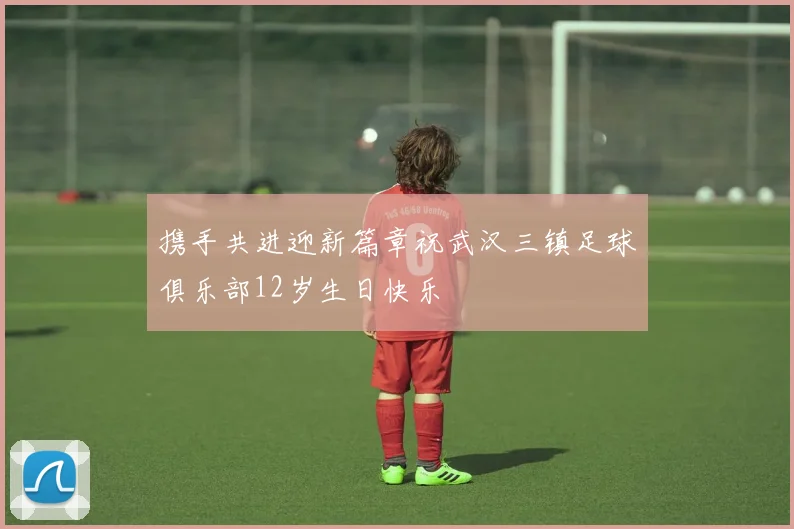 携手共进迎新篇章祝武汉三镇足球俱乐部12岁生日快乐