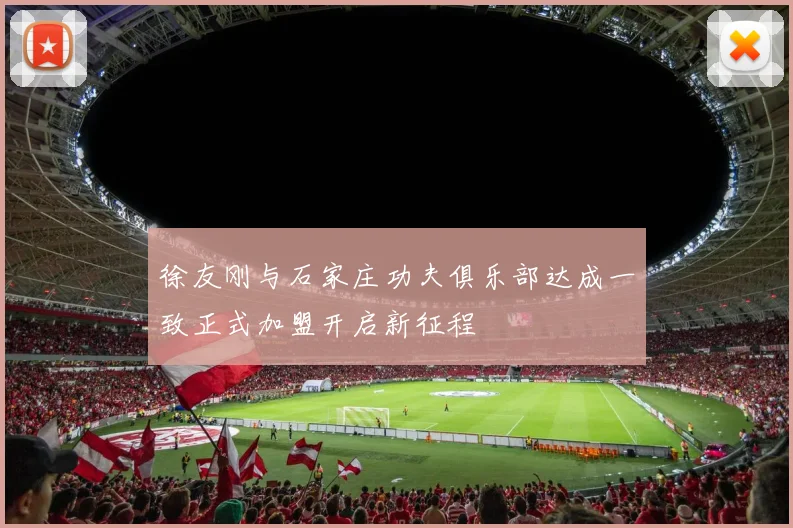 徐友刚与石家庄功夫俱乐部达成一致正式加盟开启新征程